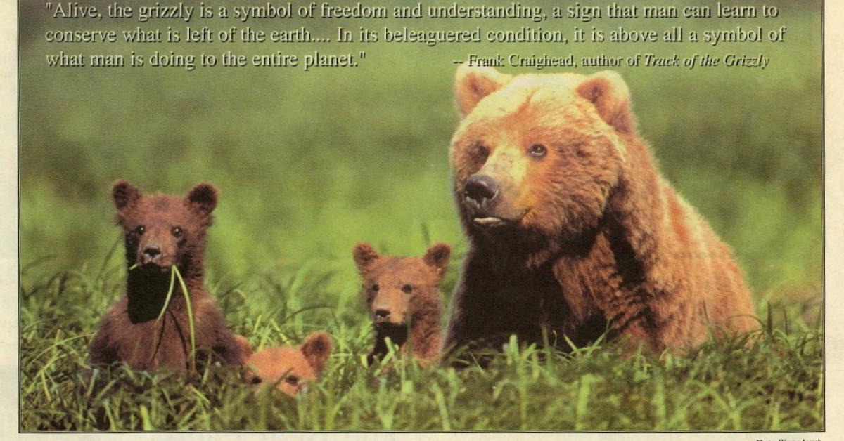 Save the Grizzly Bear Wilderness Committee